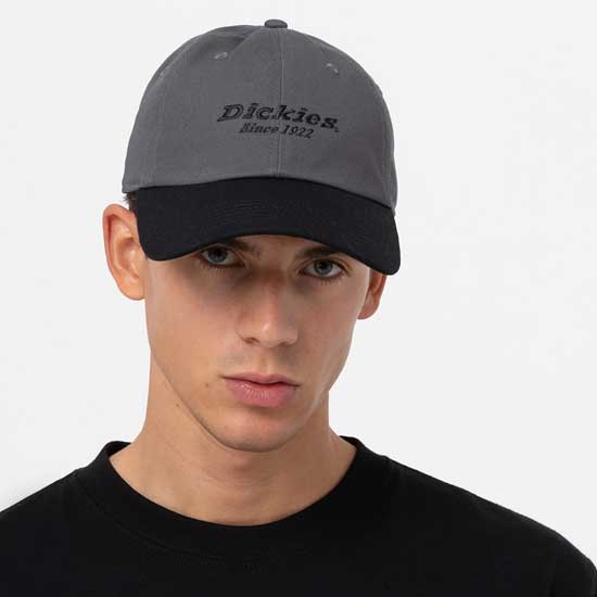 Everyday Dickies Twill Cotton Workwear Cap