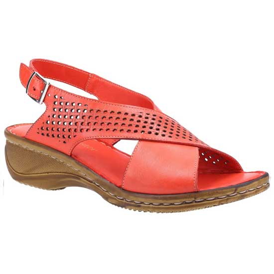Judith Everyday Sandal with Open Toe