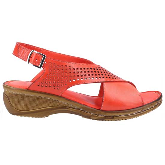 Judith Everyday Sandal with Open Toe
