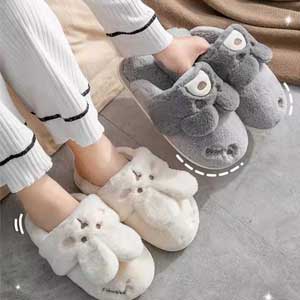 Ladies Novelty Slippers