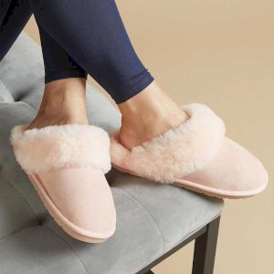 Mule Ladies Slippers