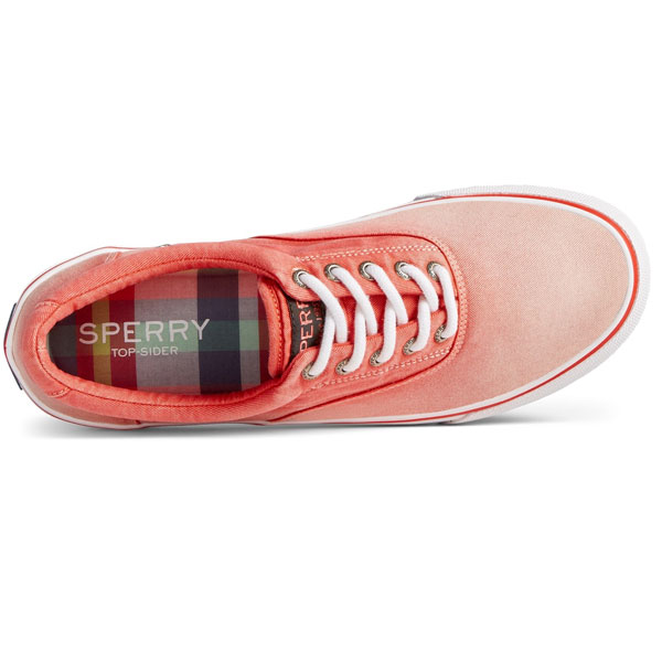 Striper II Lace Up Shoes