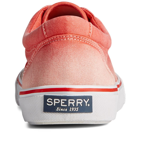 Striper II Lace Up Shoes