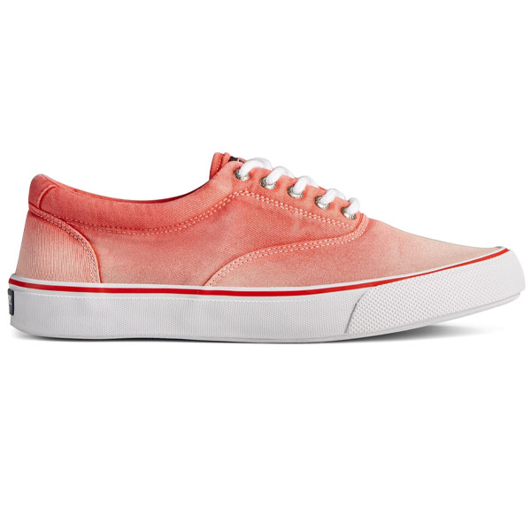 Striper II Lace Up Shoes